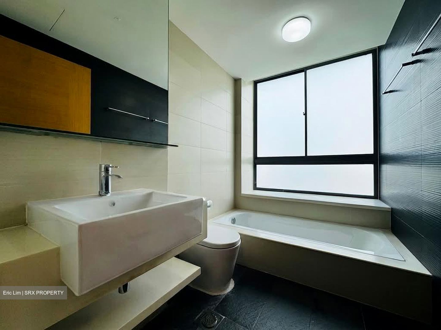 Celestia (D15), Apartment #575357751